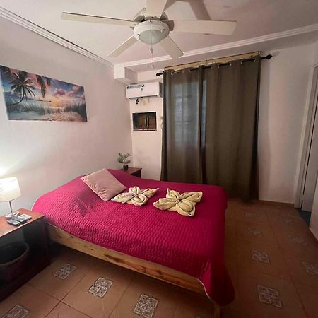 Hotel Tierra Verde Bed And Breakfast Бокас дел Торо Екстериор снимка