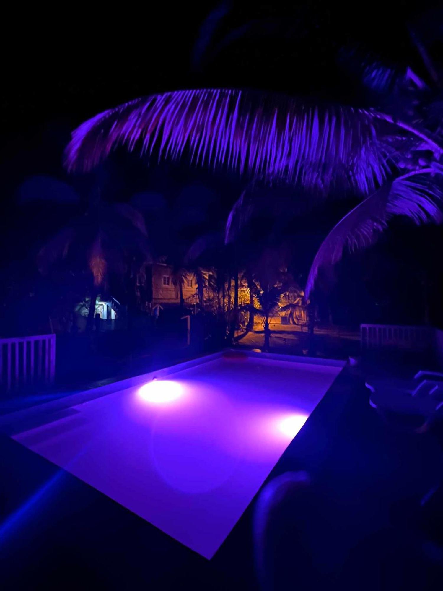Hotel Tierra Verde Bed And Breakfast Бокас дел Торо Екстериор снимка