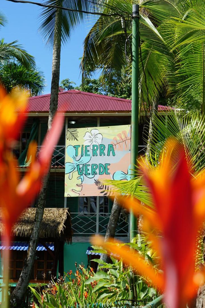 Hotel Tierra Verde Bed And Breakfast Бокас дел Торо Екстериор снимка